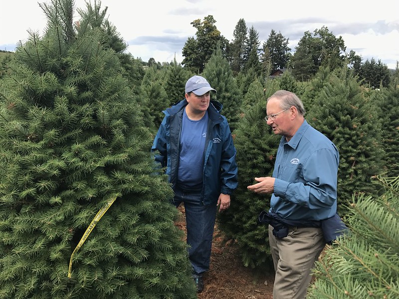 Xmas tree inspectors