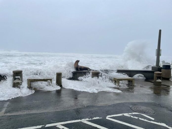 king tide waves oregon