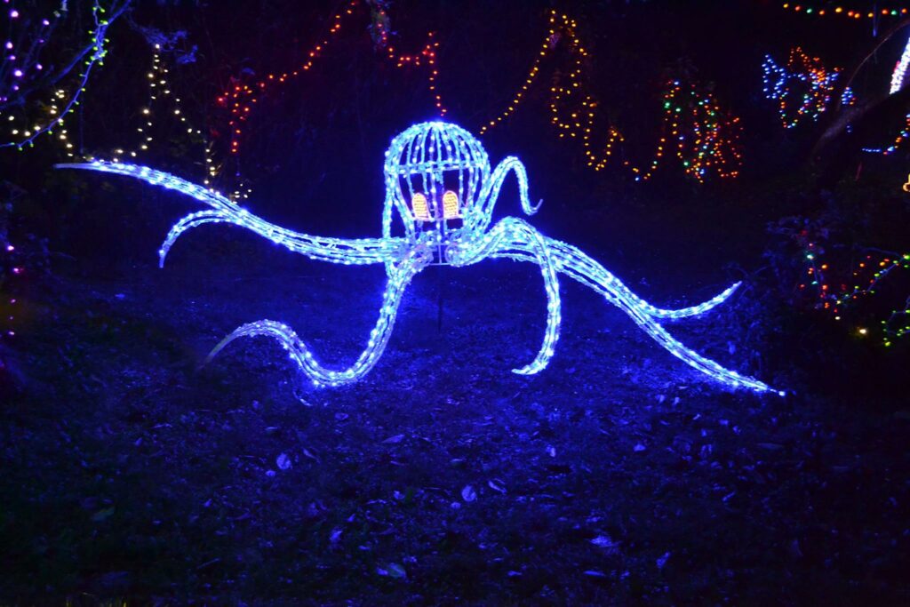 Bright blue Christmas lights in the shape of a friendly octopus.