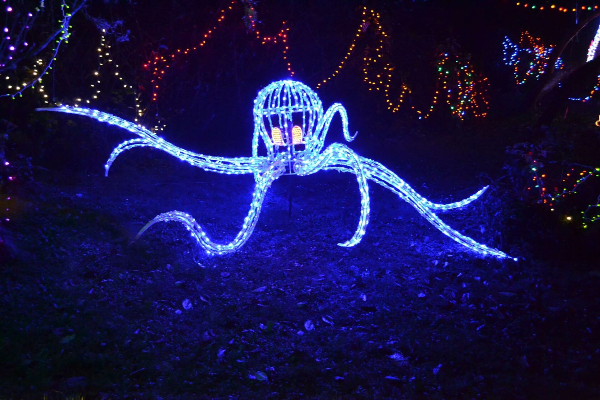 9 Magical Places To See Christmas Lights In Oregon In 2023