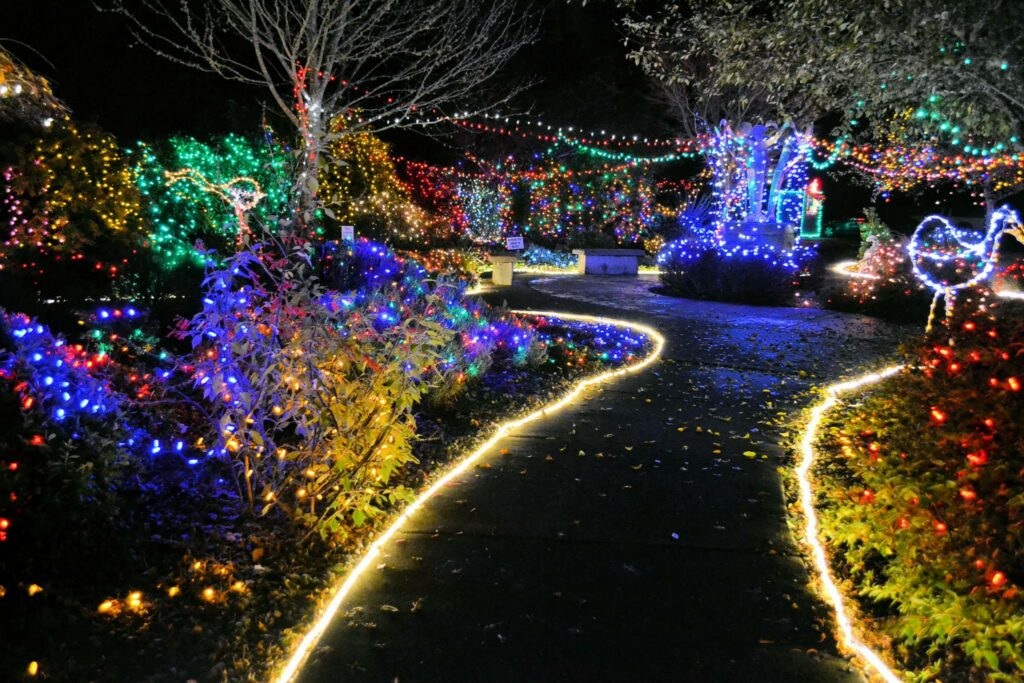 A pathway is lit up with Christmas lights. There are dozens of Christmas light displays lighting up the night on either side of the pathway.