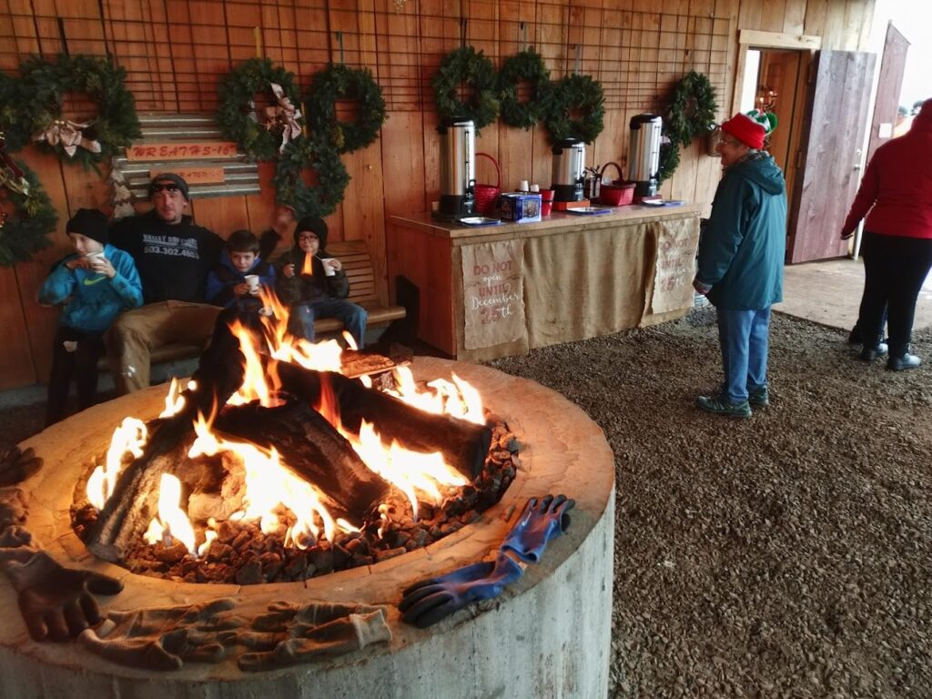 Skyline Tree Farm