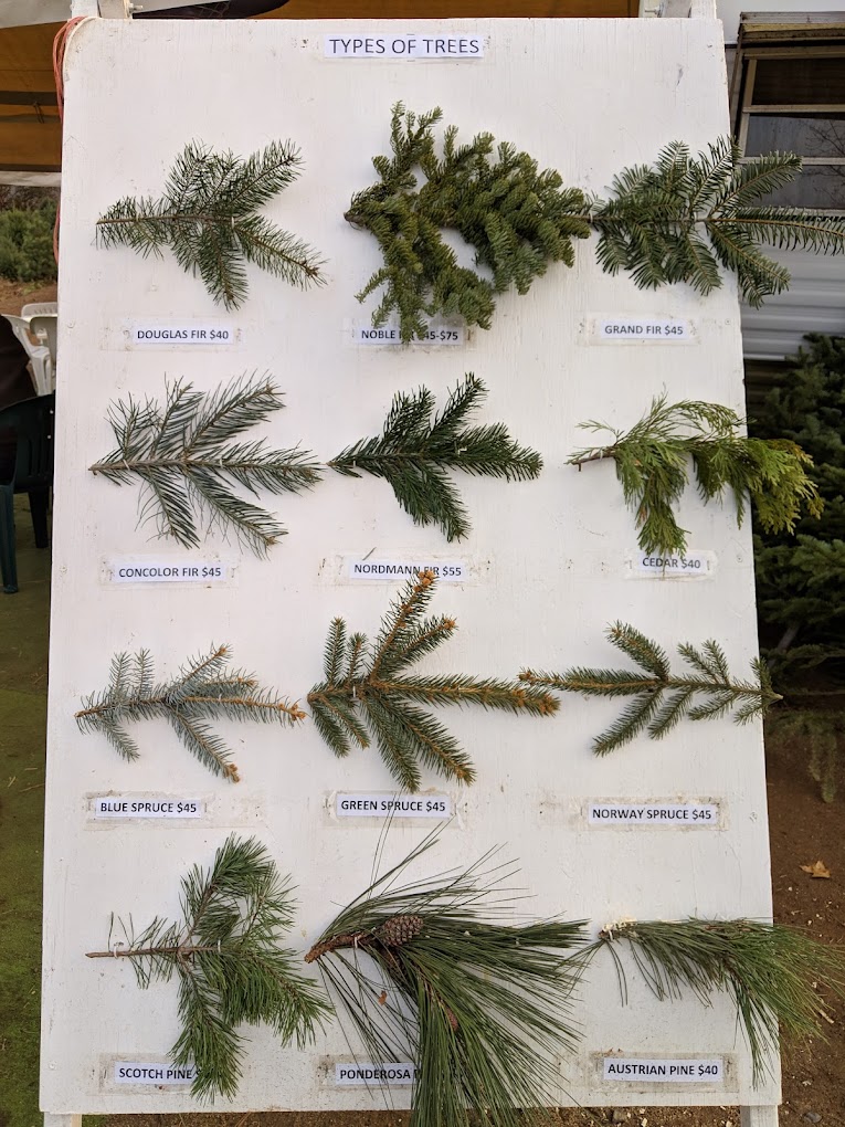 types of xmas trees