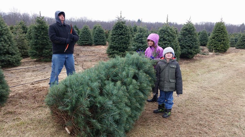 family with xmas tree