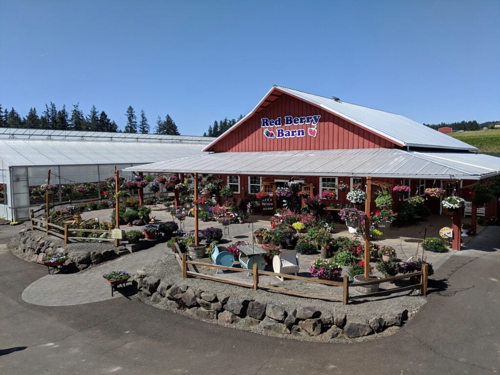 red berry Barm oregon