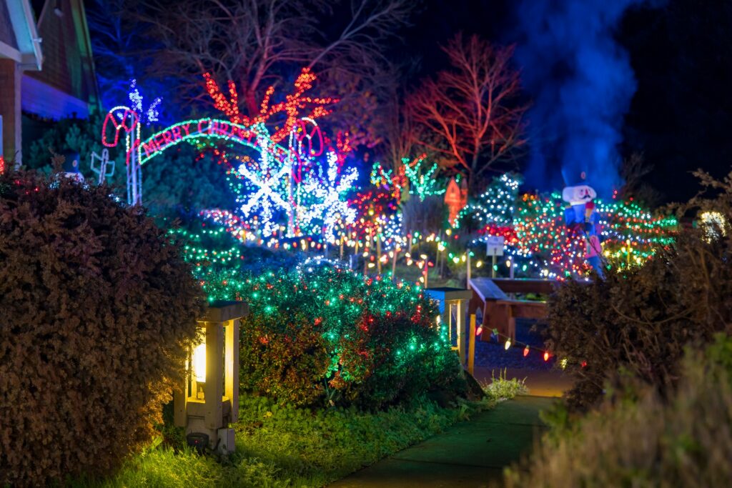 Colorful lighted Christmas light displays on trees and in bushes at the Silverton Christmas Market.