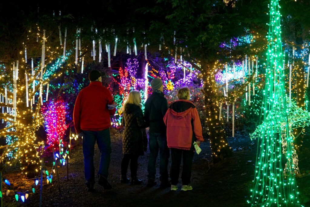 A family of four walks through the Christmas light displays at night at the Silverton Christmas Market