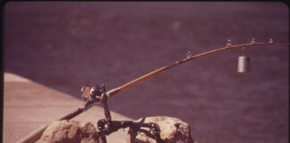 fishing oregon