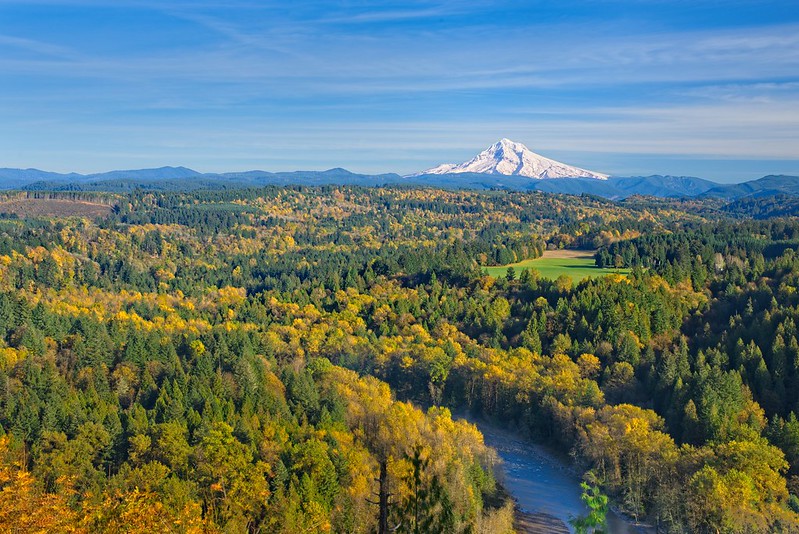 The view from Jonsrud Viewpoint overlooking the Sandy River.