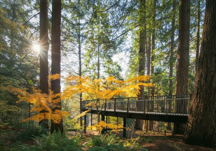 Aerial walkway