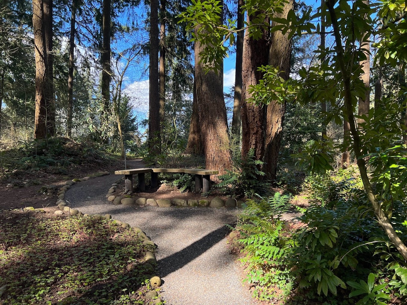 Oregon Tree Track Take a Breathtaking Stroll Among the Treetops at This Aerial Tree Walk ...