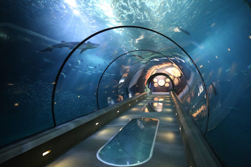 The Passages Of The Deep Exhibit at the Oregon Coast Aquarium. It's a long tunnel made of glass underwater at the aquarium.