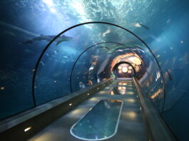 The Passages Of The Deep Exhibit at the Oregon Coast Aquarium. It's a long tunnel made of glass underwater at the aquarium.