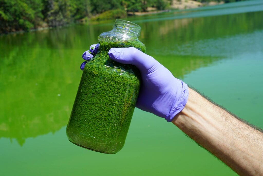A man holds up a jar of dark green algae.