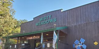 The outside of Misty Meadow Jams. It's a wood building with green trim and a green sign and a covered wooden porch with stairs leading up to the front door.