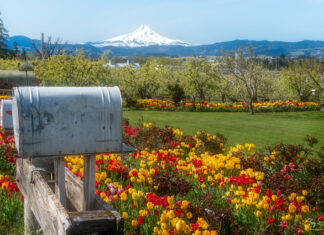 8 Offbeat Oregon Towns That Make For A Perfect Spring Road Trip