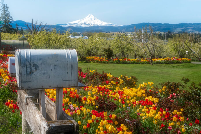 8 Offbeat Oregon Towns That Make For A Perfect Spring Road Trip