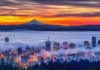 portland oregon, best restaurants, 2024, where to eat, best brunch, food and drink, bars, pizza, sushi, thai food, PDX, foodie heaven