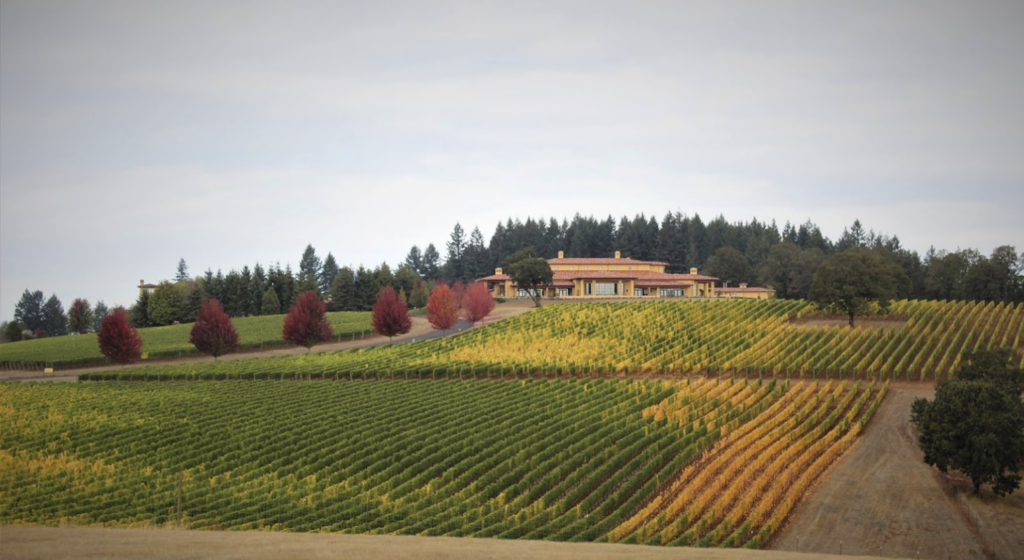 NW Wine Shuttle, Wine tours, willamette valley, oregon, pinot noir, 2024