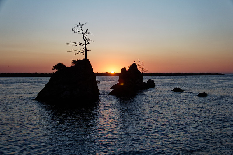 The Three Graces near Rockaway Beach and Garibaldi at sunset. The silhouette of three rock stacks in the ocean at sunset. There's a spindly tree on top of one of the large rock stacks.