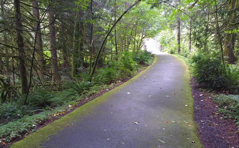 A paved trail at Wildwood Recreation Area.