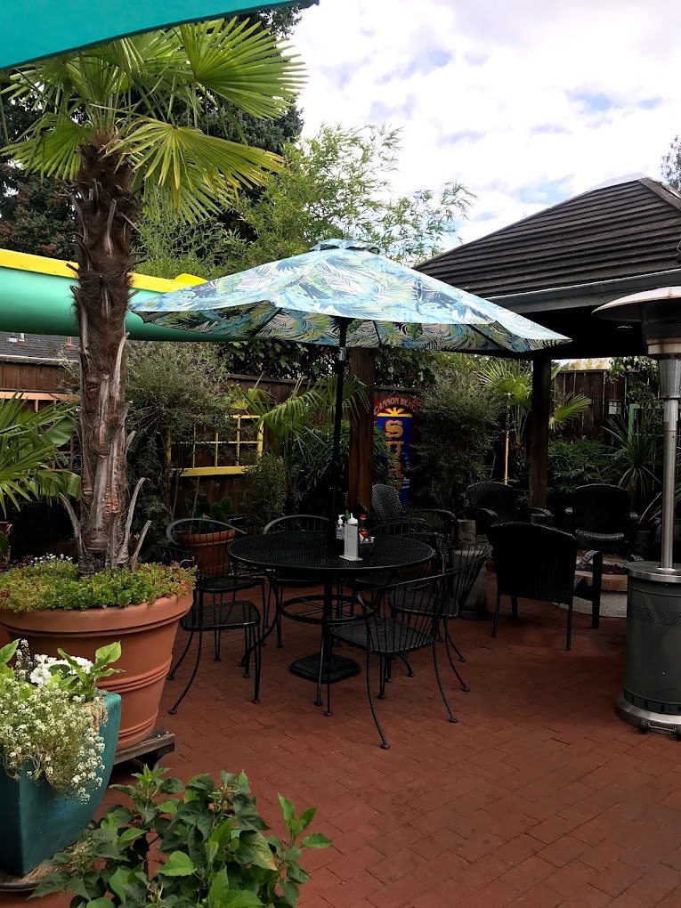 The outdoor patio. There are plants everywhere, including a palm tree. Some of the tables are covered with colorful umbrellas.