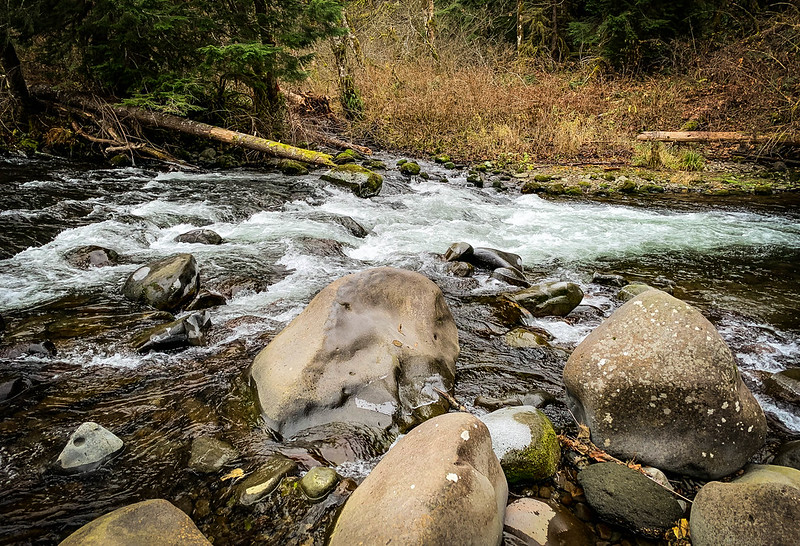 The Salmon River at Wildwood Rec Site.