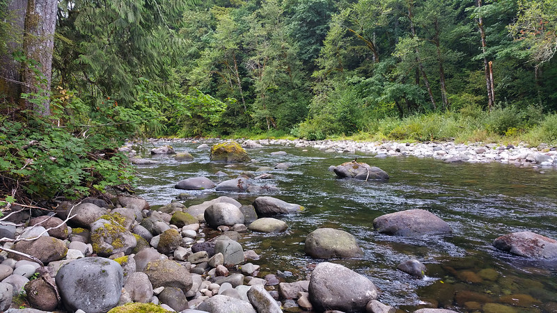 The Salmon River.
