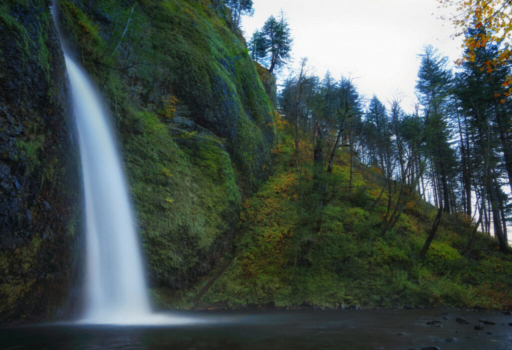 horsetail falls oregon
