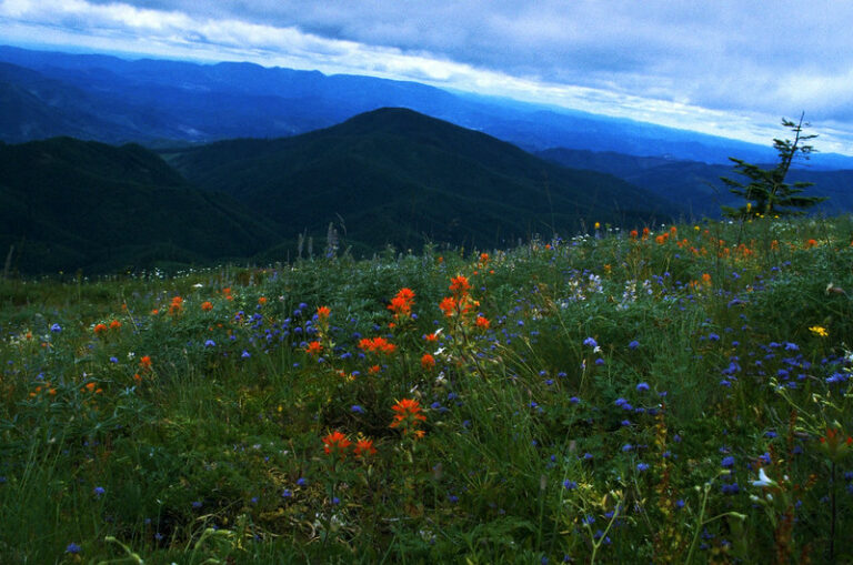 Ultimate Guide to Exploring Mary Peak: Trails, Tips, and Views