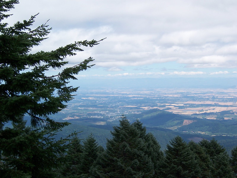 The view from Marys Peak.