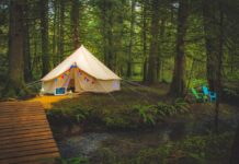 Forest Island yurt