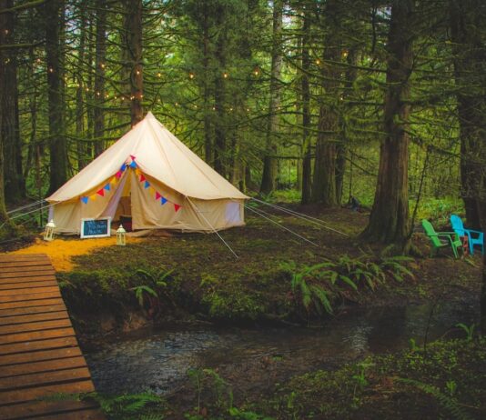 Forest Island yurt