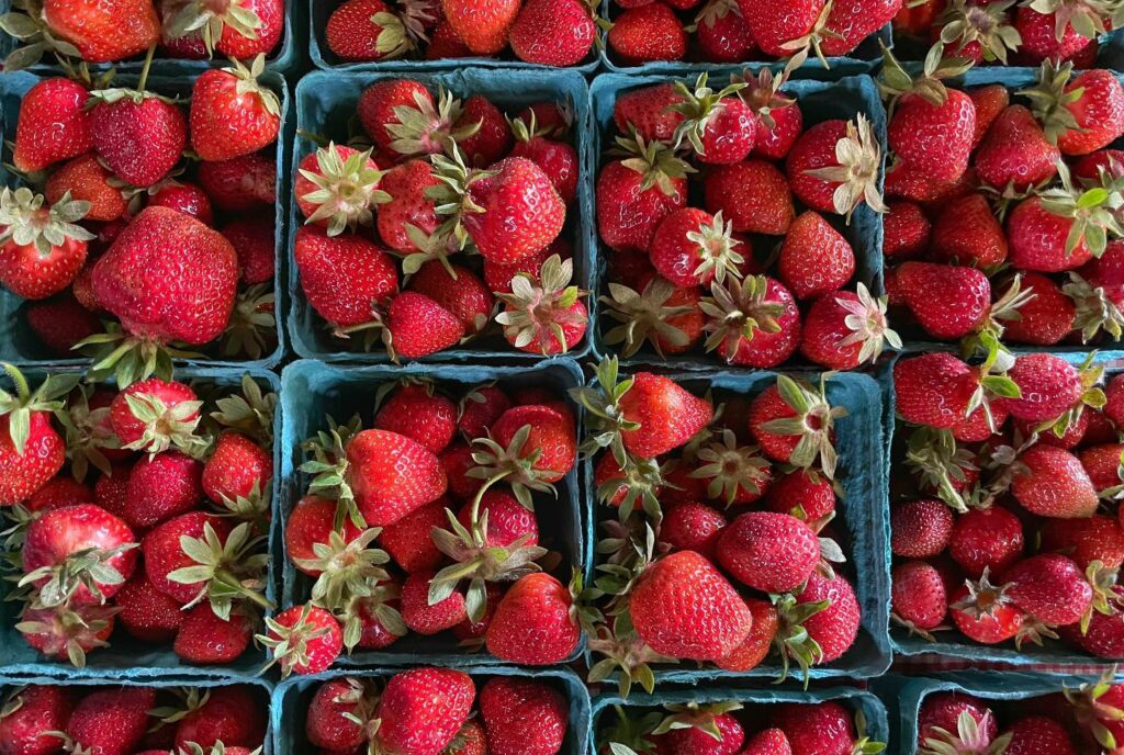 Green containers full of red, ripe strawberries at Draper Girls Country Farm.