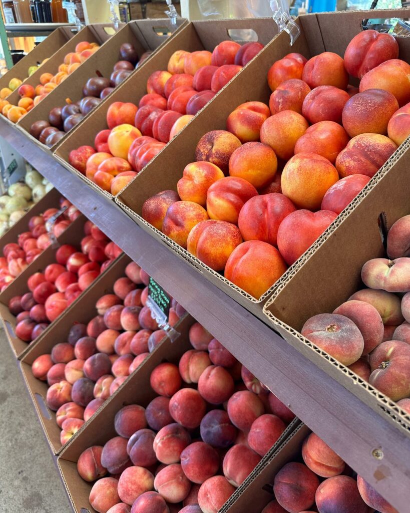 Boxes and boxes of peaches and nectarines of various varieties at the Draper Girls Country Farmstand Store.