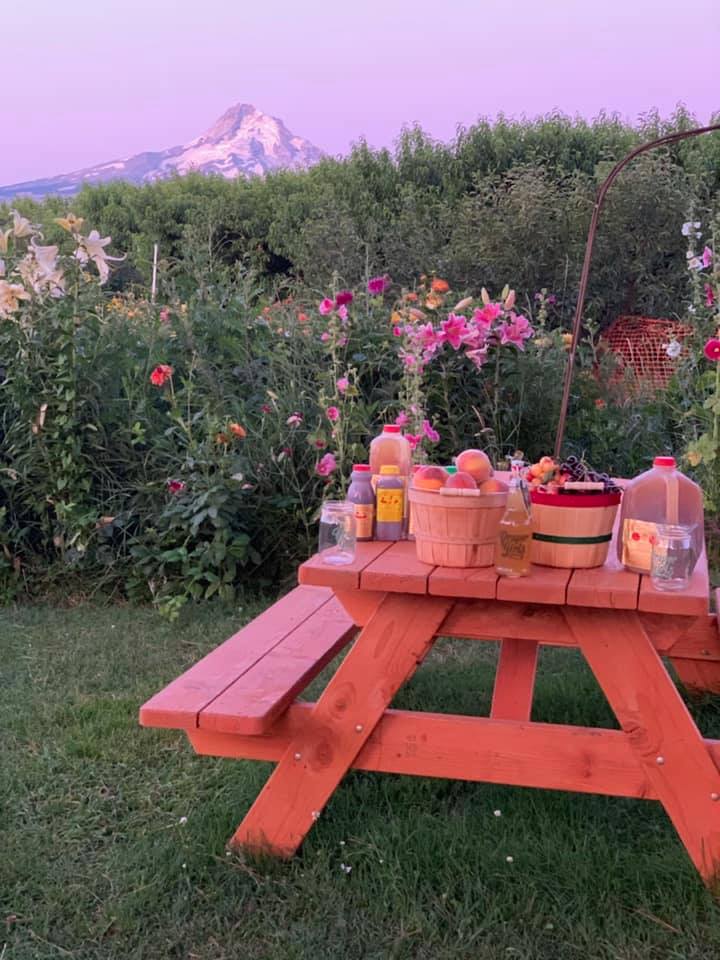 A picnic table full of fruit and cider. Behind the table is a row of pretty, colorful flowers, and behind that is an orchard of fruit trees, and Mount Hood.