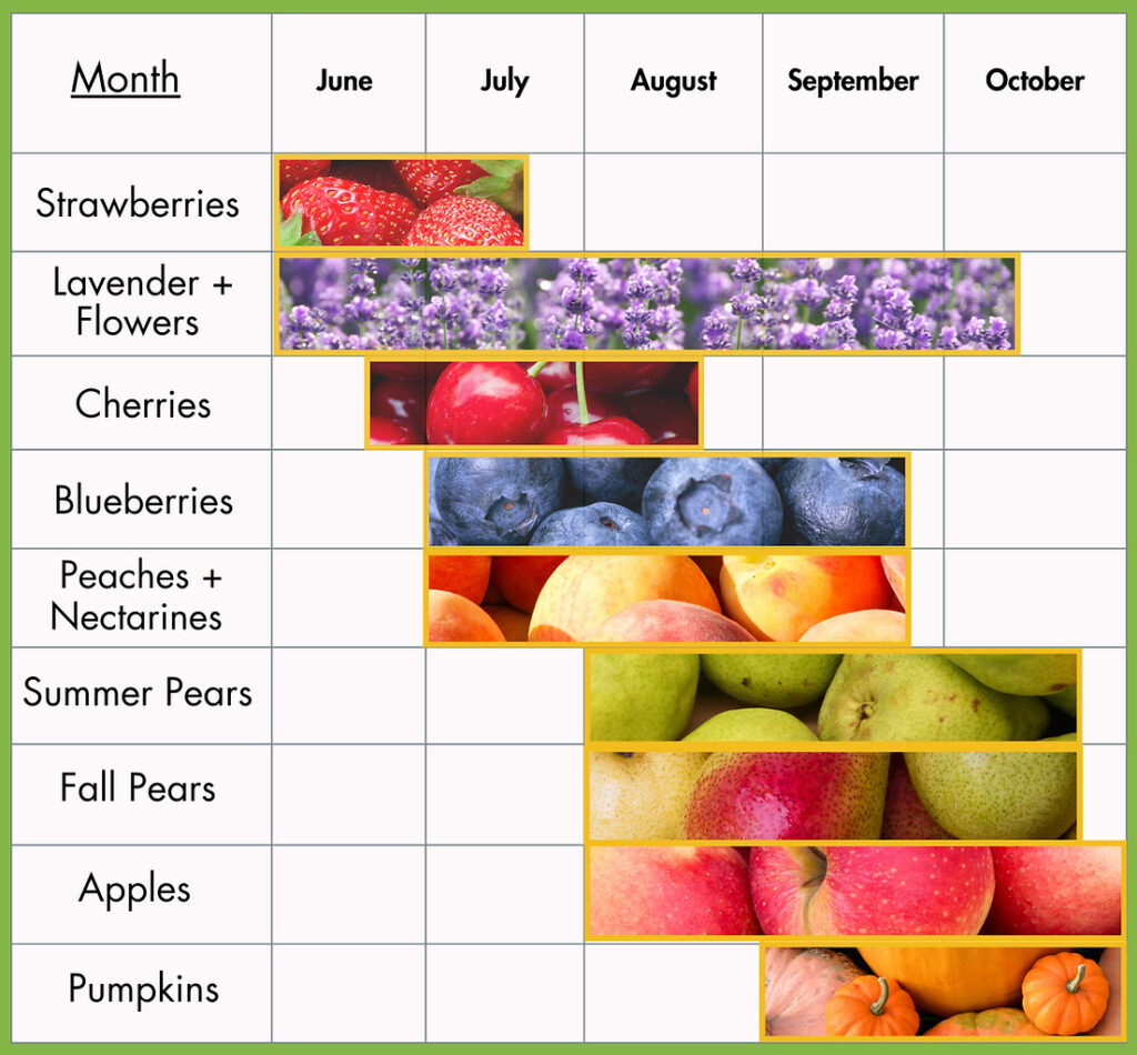 A chart showing which months to visit to pick certain types of berries and other fruits.