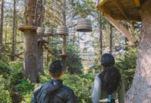 Two people look at upturned barrels strung across the trees, platforms, bridges, and other aerial elements in towering coastal spruce trees at Salishan Aerial Park.