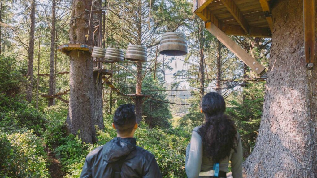 Two people look at upturned barrels strung across the trees, platforms, bridges, and other aerial elements in towering coastal spruce trees at Salishan Aerial Park.