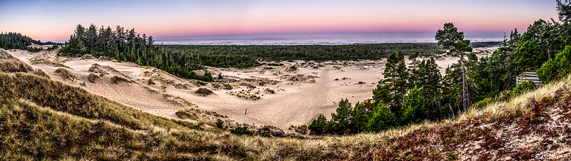 A sweeping view of the Oregon Dunes National Recreation Area. Sand dunes stretch far into the distance, surrounded by coastal grasses and forest.