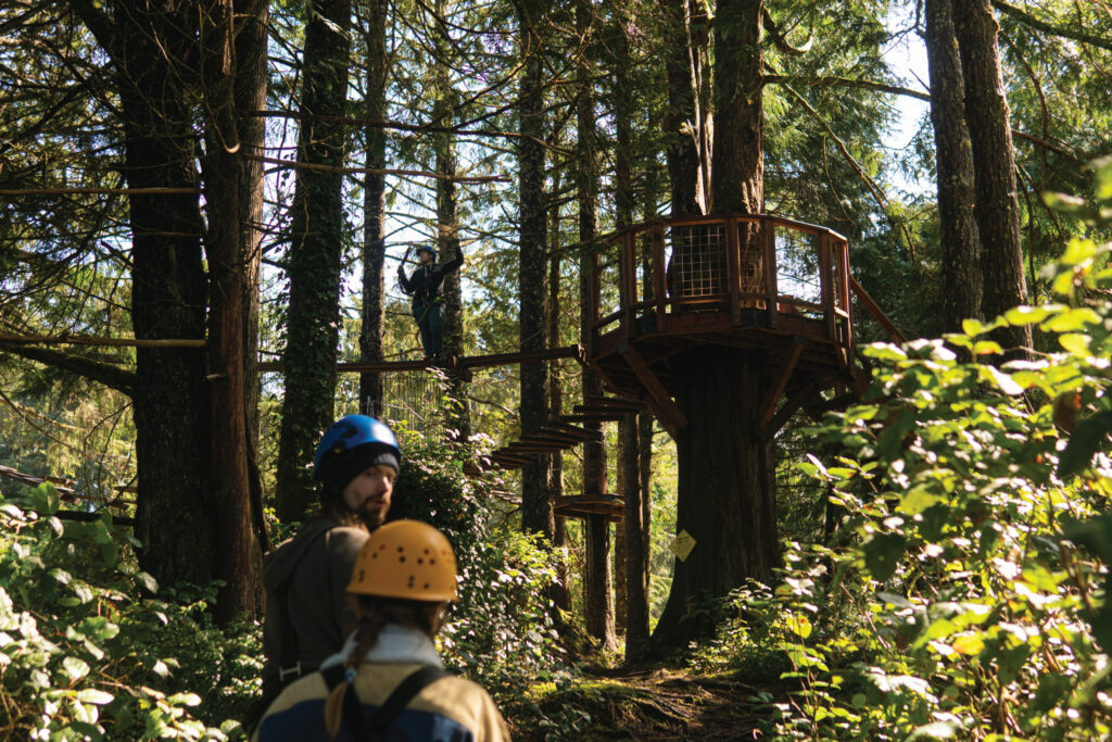 Two people on the ground wearing helmets, and one person wearing a helmet navigating an aerial course obstacle up in the trees at the Salishan Aerial Park.