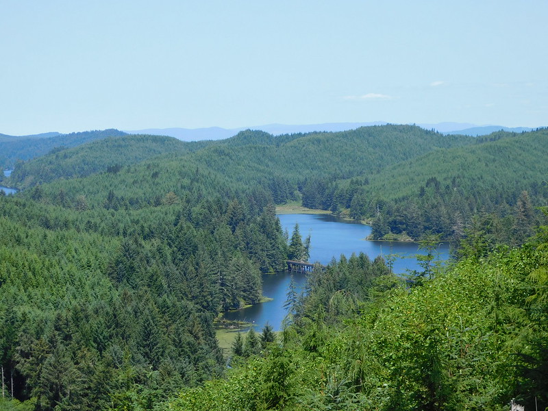 Tahkenitch Lake, surrounded by forest.
