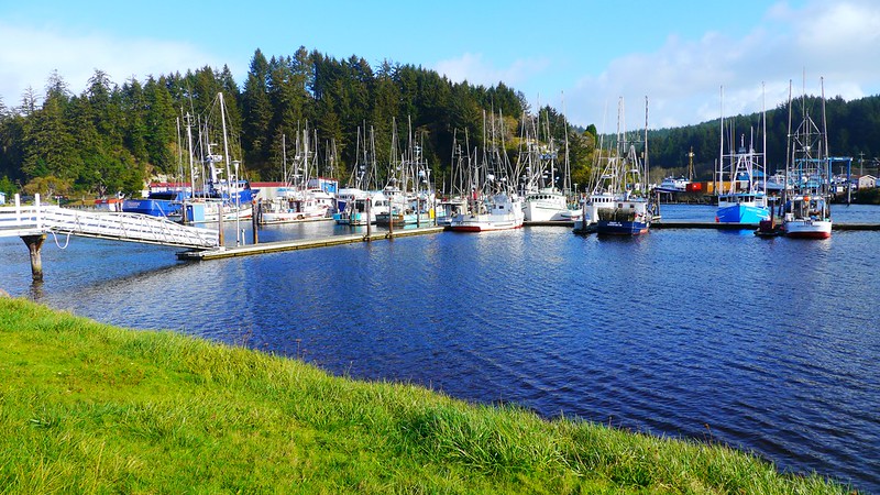 The famous Salmon Harbor in Winchester Bay near Reedsport, Oregon. There are more than a dozen boats in the water at the docs, and a forest in the background.