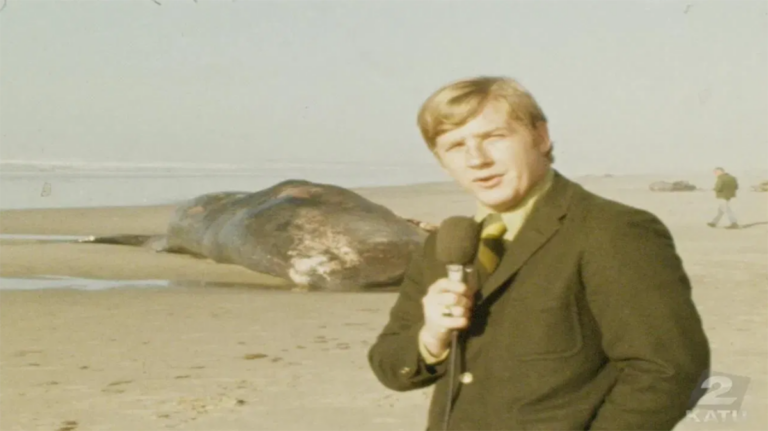 Whale Not About to Go Boom: OSP Quashes Explosive Rumors on Oregon Beach
