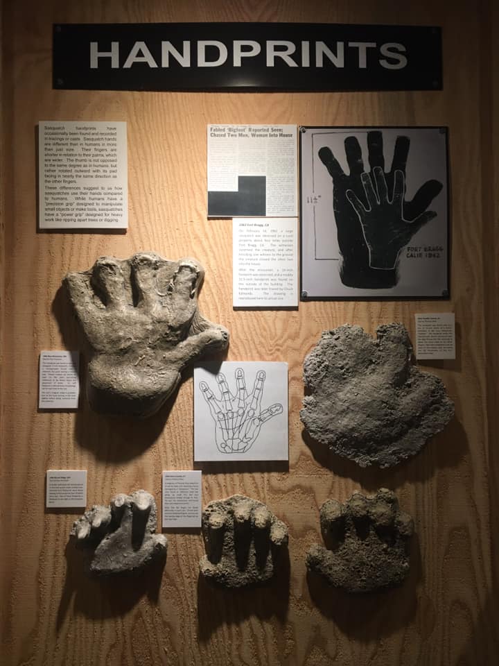 Exhibits at the North American Bigfoot Center.