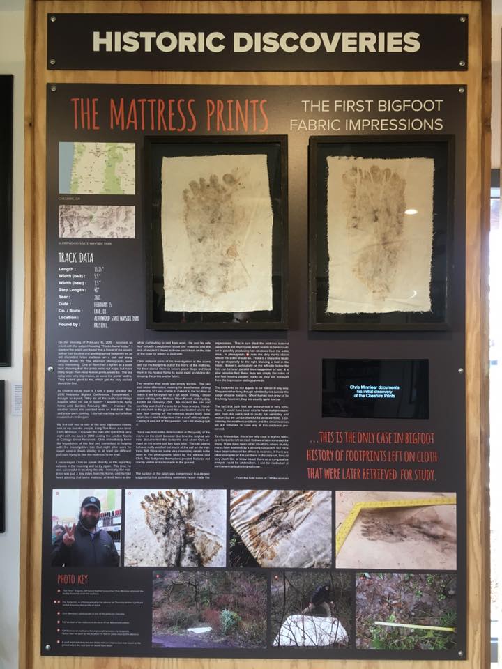 Exhibits at the North American Bigfoot Center.