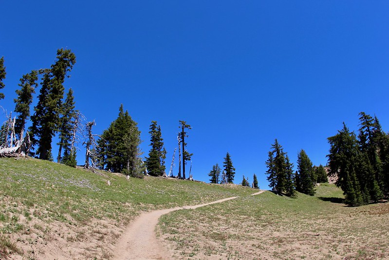 A spot along the Garfield Peak Trail in Crater Lake National Park.