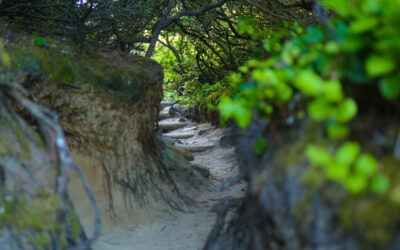 Follow the Mystical Hobbit Trail Leading to a Secluded Oregon Beach