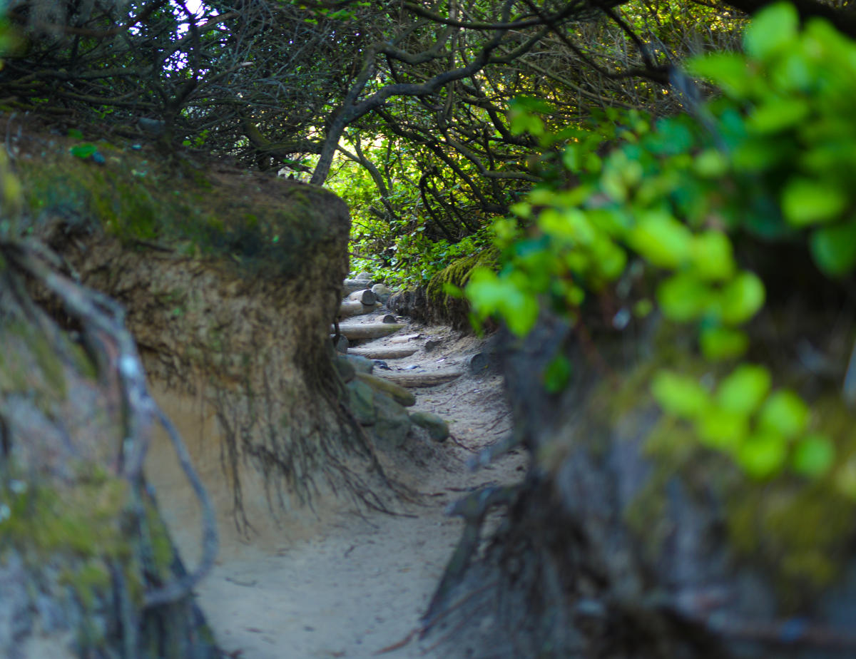 hobbit trail florence oregon