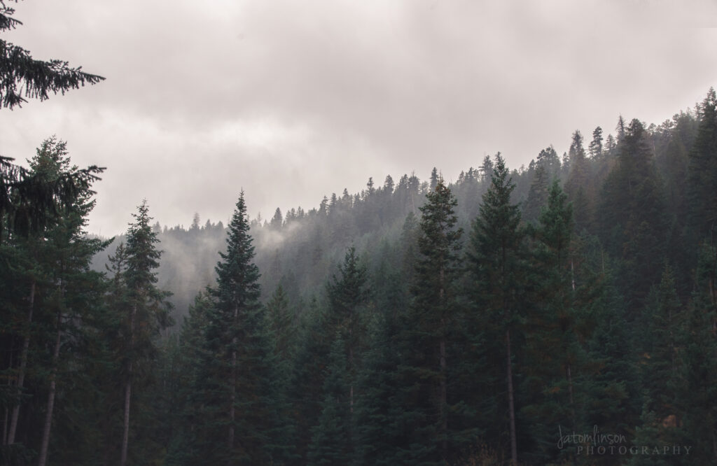 Fog rolling down a mountain in the rain on a fall hike in Southern Oregon.